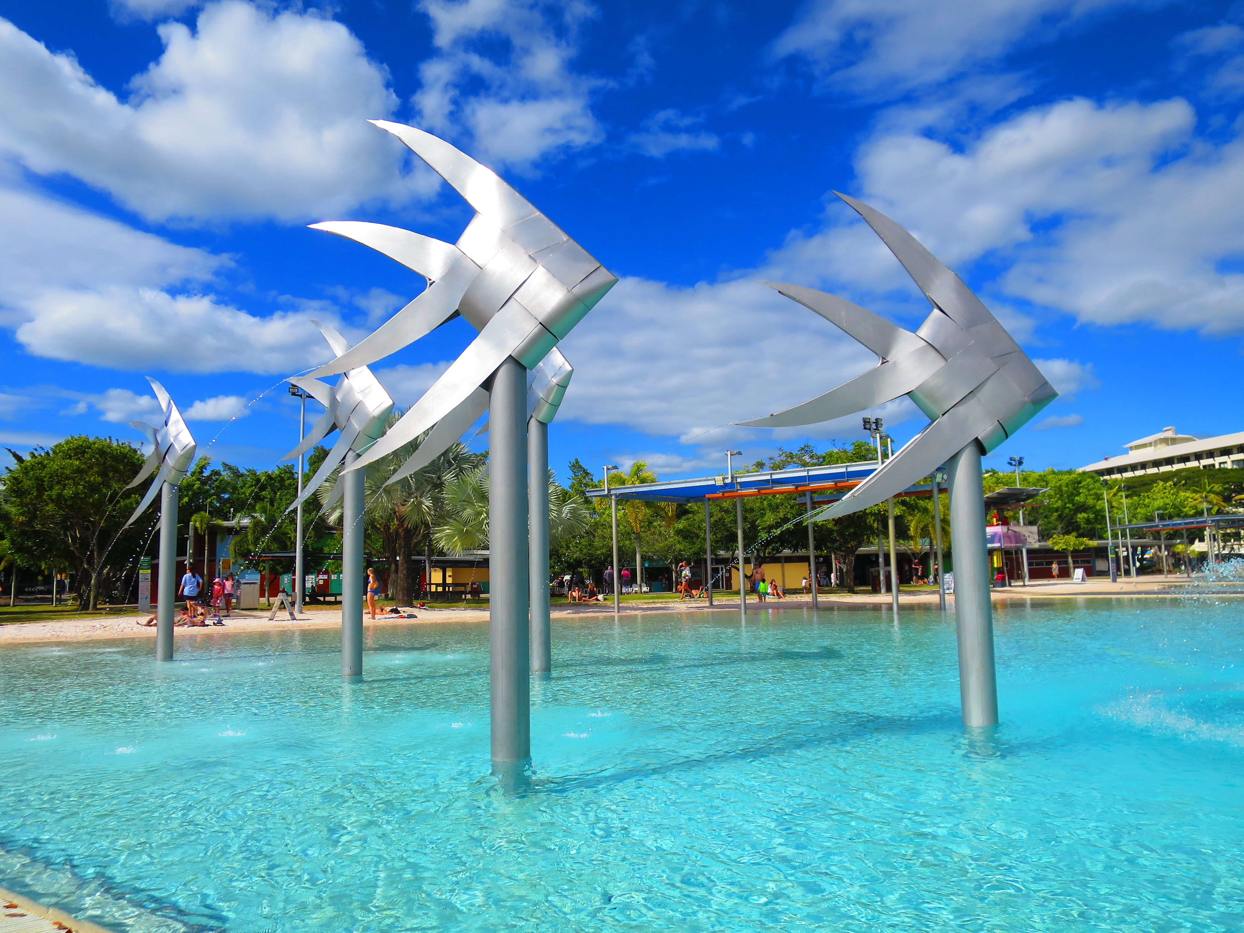 My Favorite 11 Free Things to do in Cairns ThinkMaverick