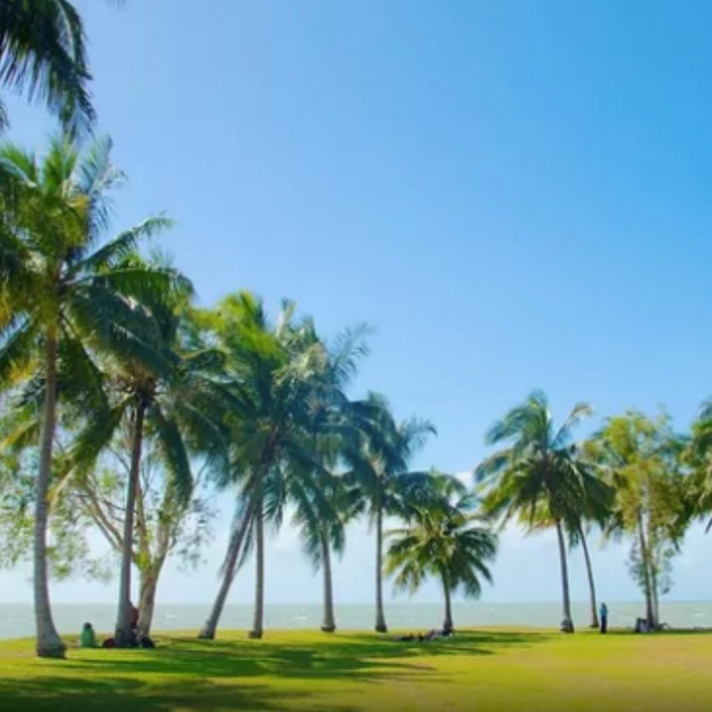 my favorite 9 best free things to do in Port Douglas. ThinkMaverick