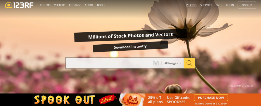 best royalty-free stock images websites. Thinkmaverick