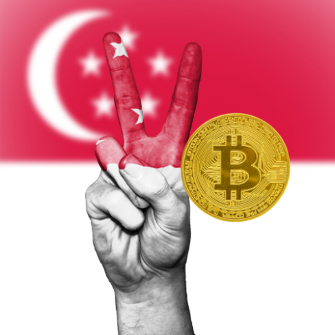 How to Buy Bitcoin in Singapore -The best crypto exchanges in Singapore. thinkmaverick